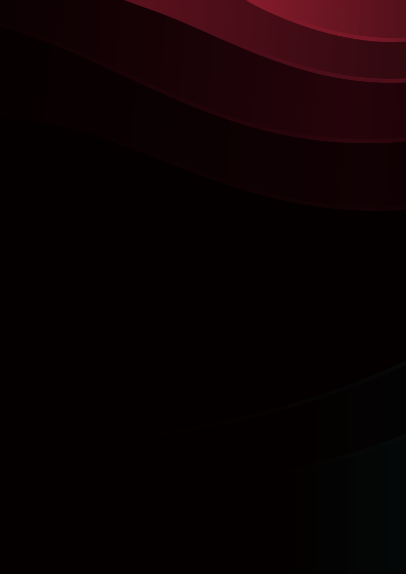 2025年美区跨境POP PEAKS出海经营方法论白皮书 第4页