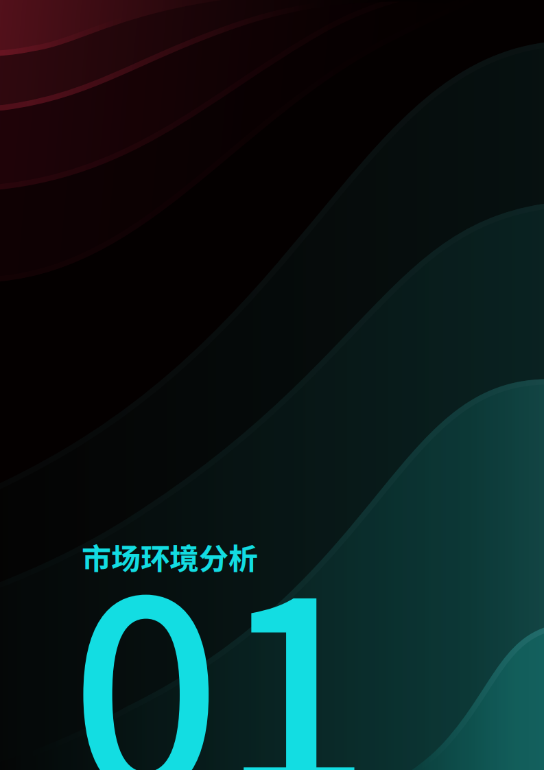 2025年美区跨境POP PEAKS出海经营方法论白皮书 第5页