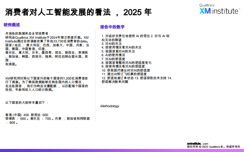 消费者对人工智能发展的看法，2025年全球研究报告 第3页