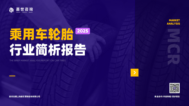 2025年乘用车轮胎行业简析报告 第1页