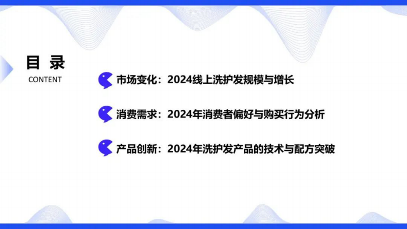 2024年线上洗发护发市场的新趋势与机遇解析报告 第2页