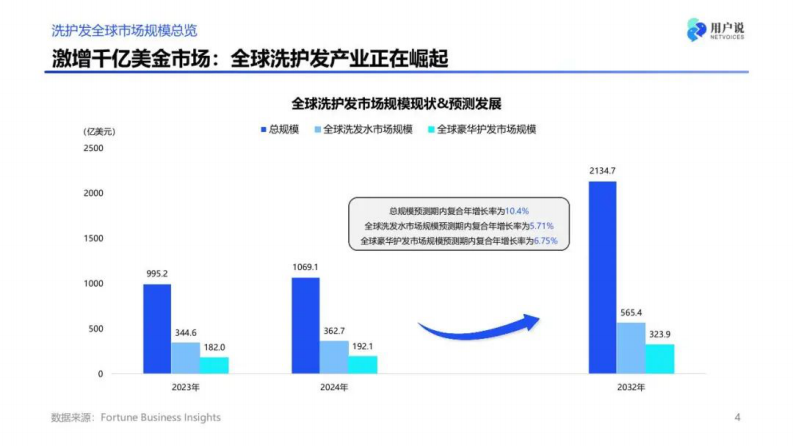 2024年线上洗发护发市场的新趋势与机遇解析报告 第4页