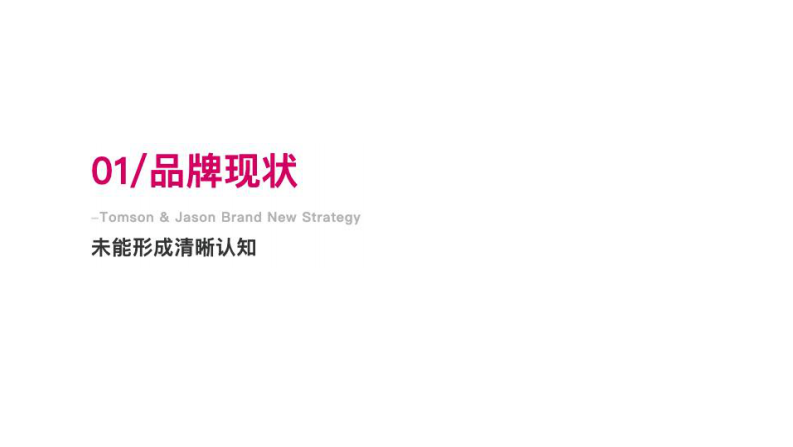 鲜花饼品牌「正宗」战略重塑方案【烘焙糕点】【中式糕点】【品牌战略升级】 第2页