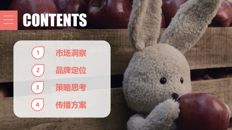 婴幼儿辅食品牌上市营销方案【母婴】【新品营销】【种草营销】 第2页