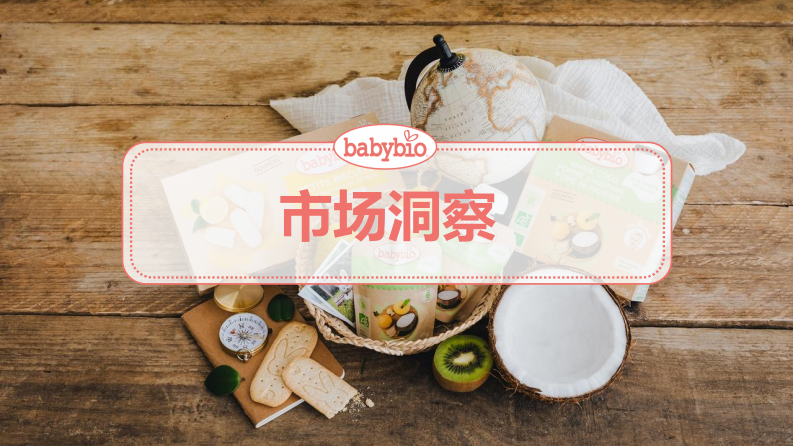 婴幼儿辅食品牌上市营销方案【母婴】【新品营销】【种草营销】 第3页