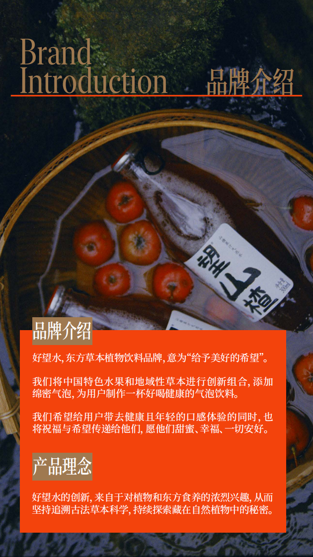 好望水品牌手册【饮料饮品】【品牌定位】【品牌手册】 第2页