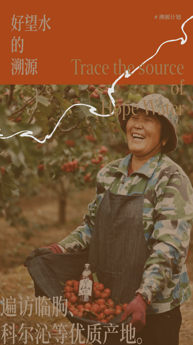 好望水品牌手册【饮料饮品】【品牌定位】【品牌手册】 第5页