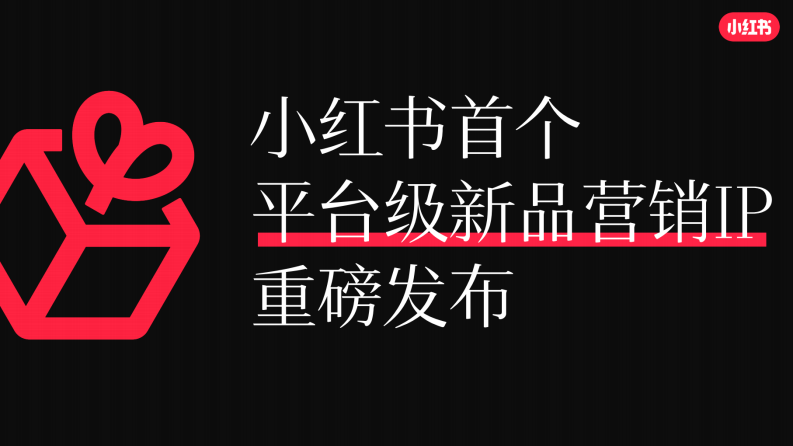 小红书2024宝藏新品营销灵感参考 第2页