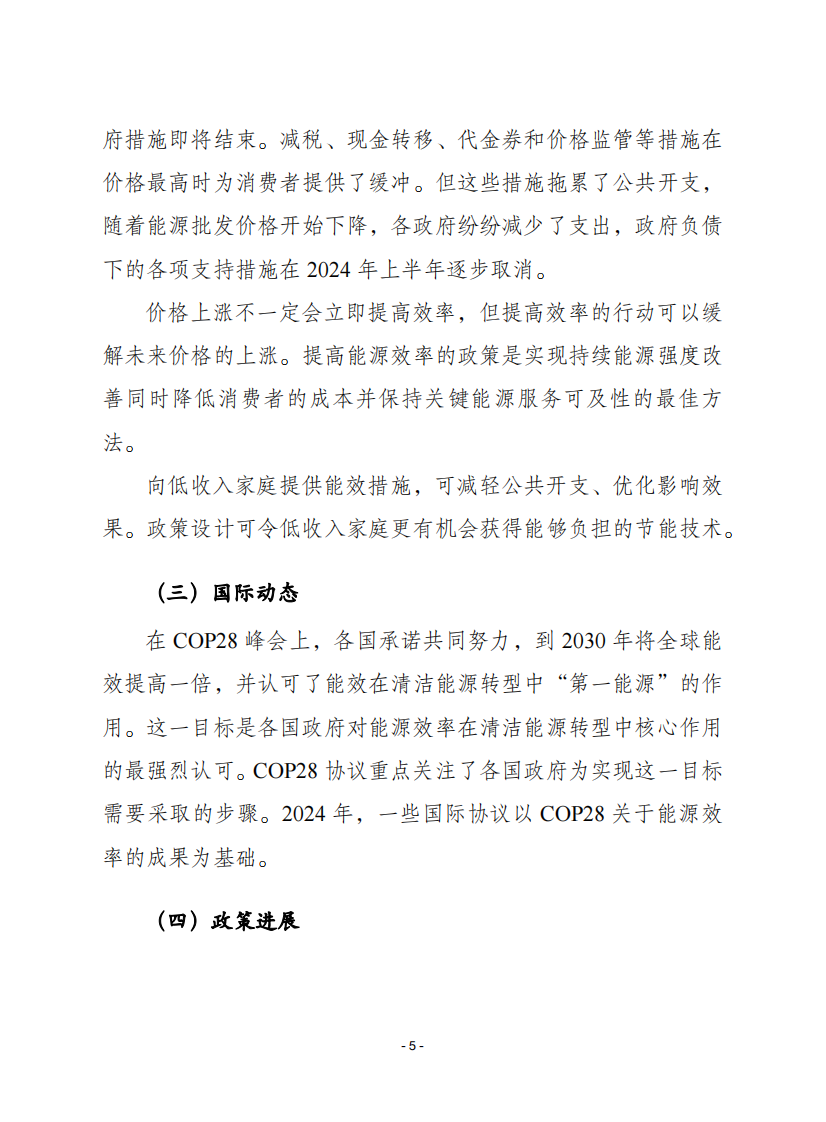 2024年能源效率报告 第5页