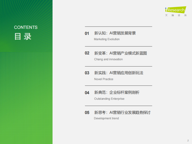 2024年中国营销行业AI应用发展研究报告 第2页