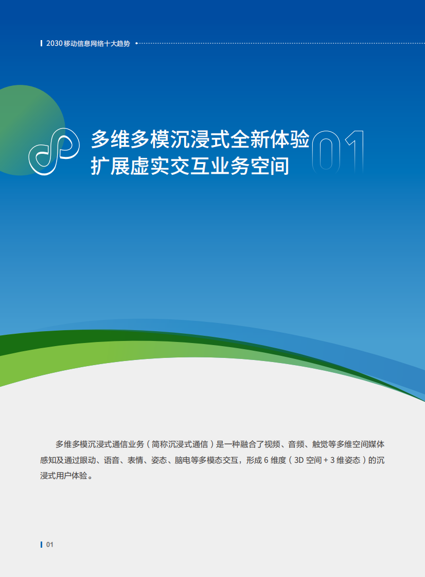 2030移动信息网络十大趋势白皮书 第5页