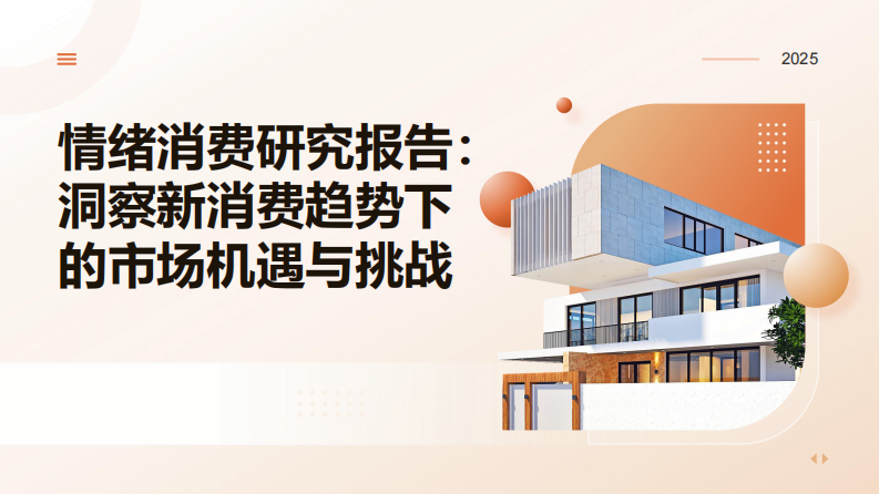 2025情绪消费研究报告 第1页