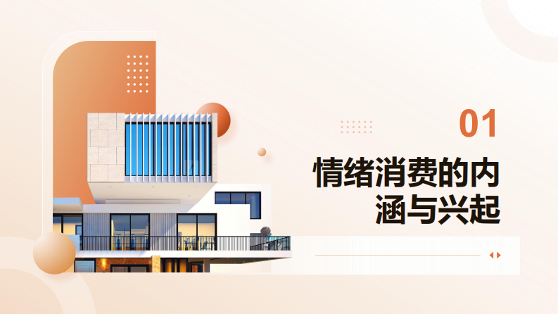 2025情绪消费研究报告 第5页