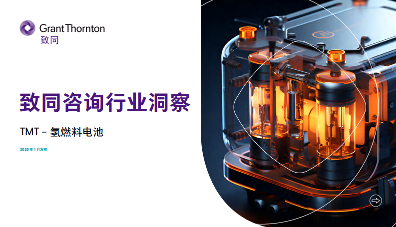 TMT&mdash;&mdash;氢燃料电池行业洞察 第1页