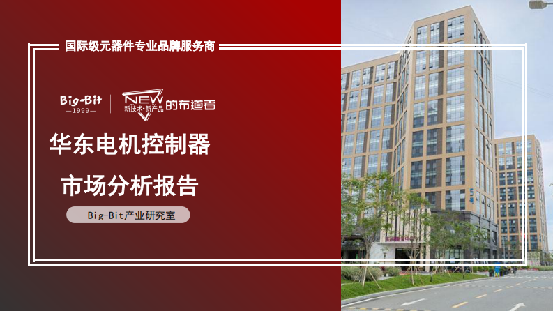 华东电机控制器市场分析报告 第1页
