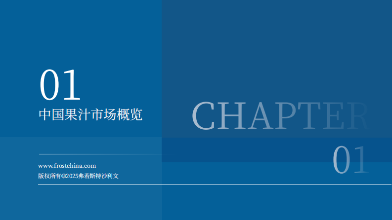 2024年中国果汁市场洞察与实践白皮书 第4页