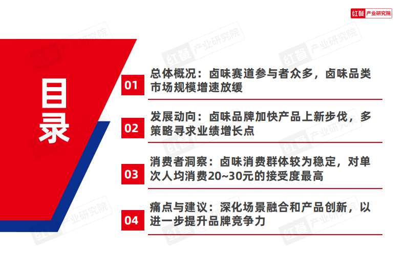 2025年卤味品类发展报告 第3页