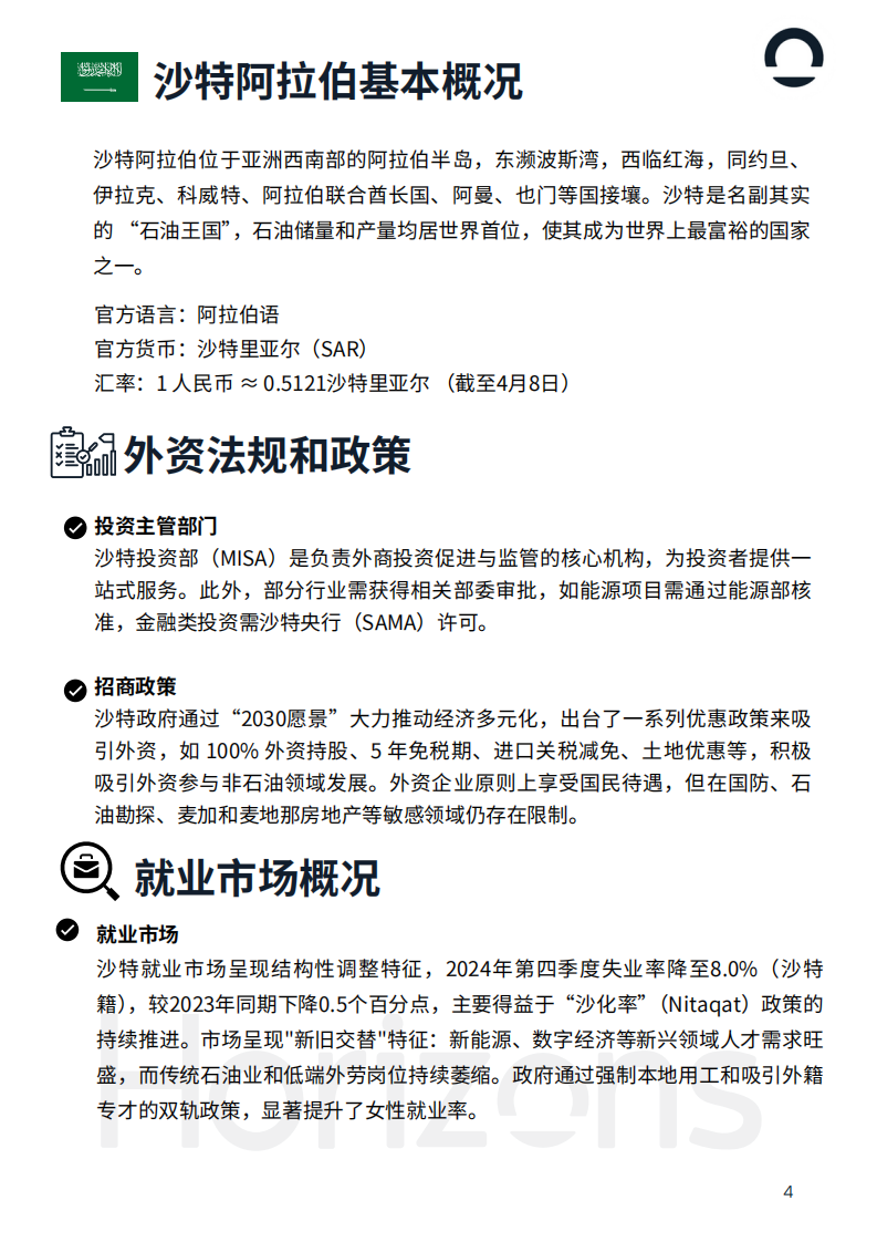 2025年沙特阿拉伯出海白皮书 第4页