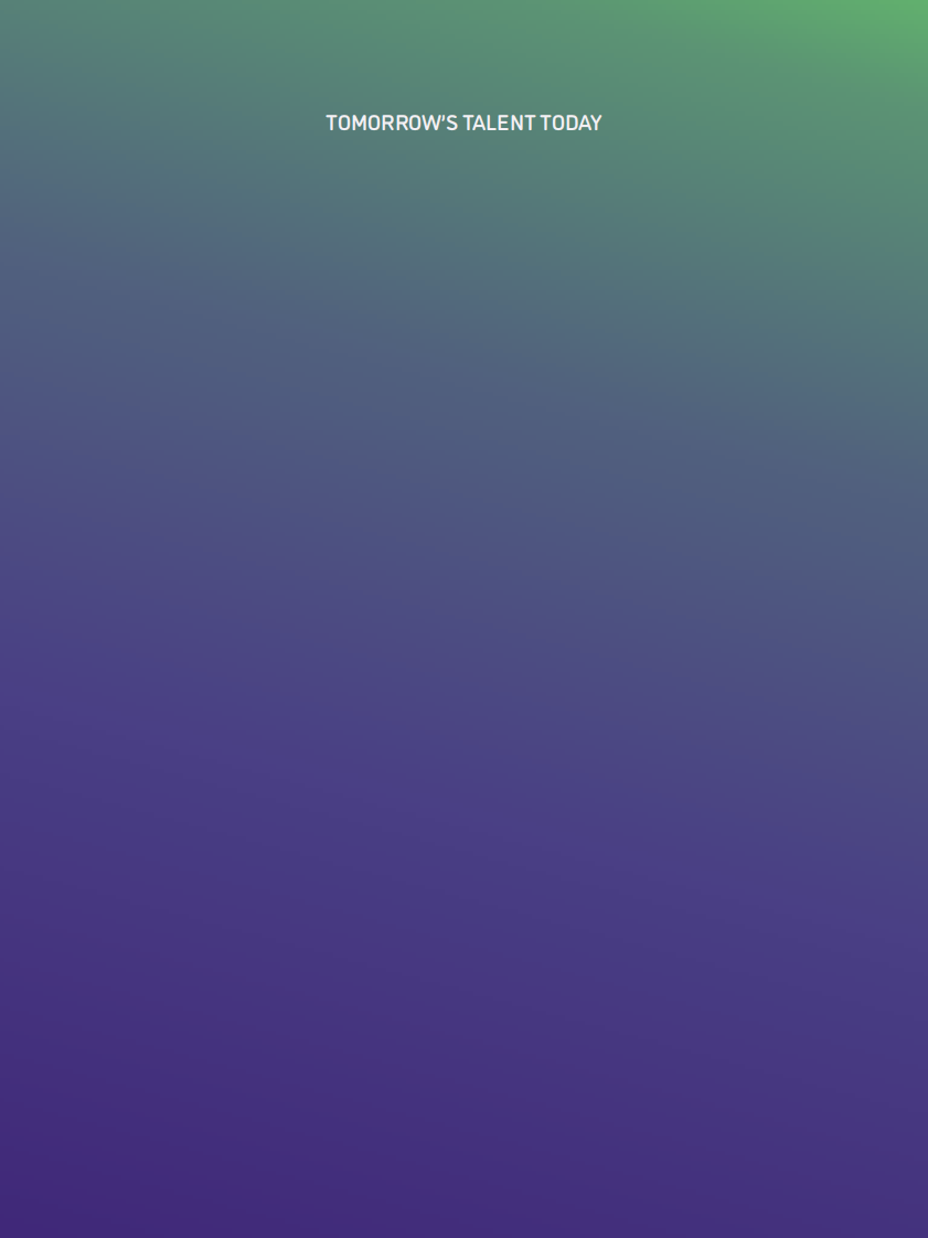 2024年AI人才状况报告（英文） 第2页