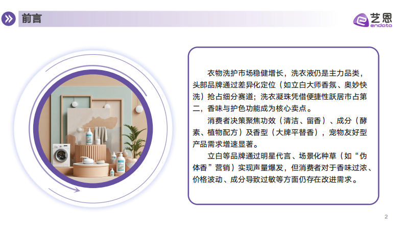衣物洗护市场消费趋势报告 第2页