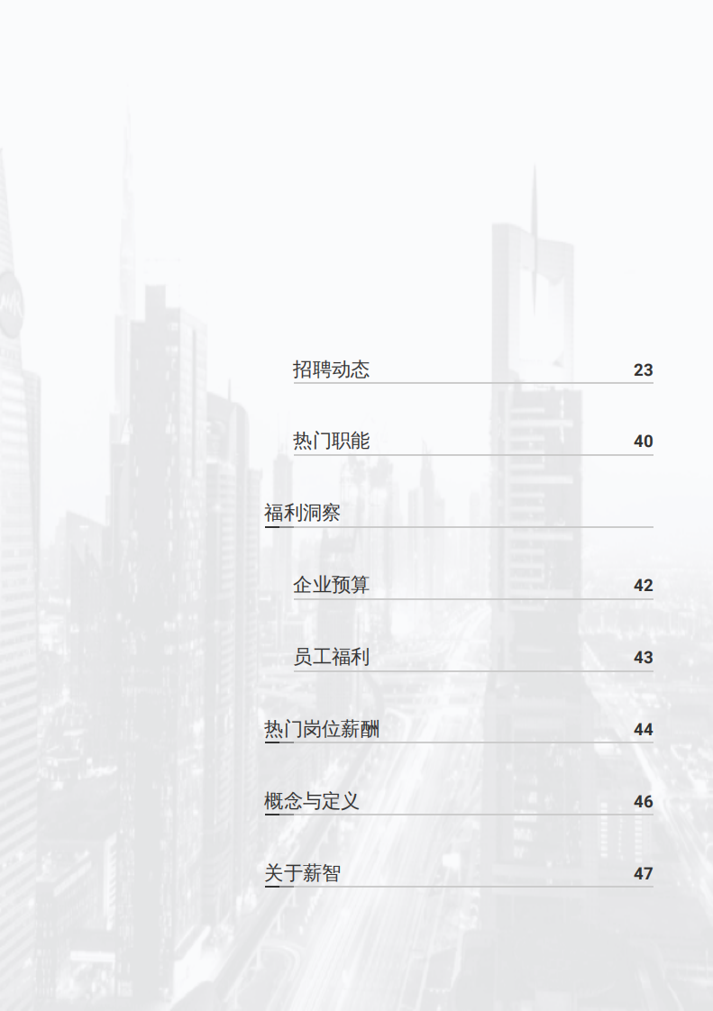 2025能源化工业行业白皮书 第4页