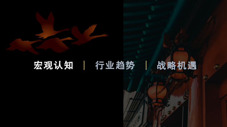 浩华分享-产业资本转型酒店业务投资的战略机遇 第2页