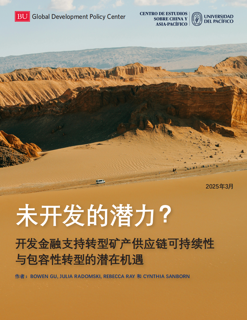 2025年未开发的潜力？开发金融支持转型矿产供应链可持续性与包容性转型的潜在机遇报告 第1页