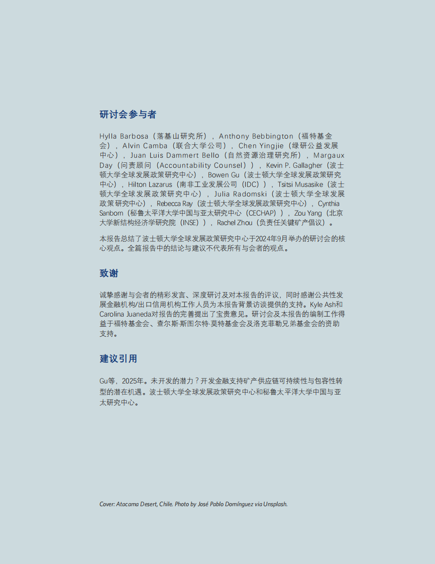 2025年未开发的潜力？开发金融支持转型矿产供应链可持续性与包容性转型的潜在机遇报告 第2页