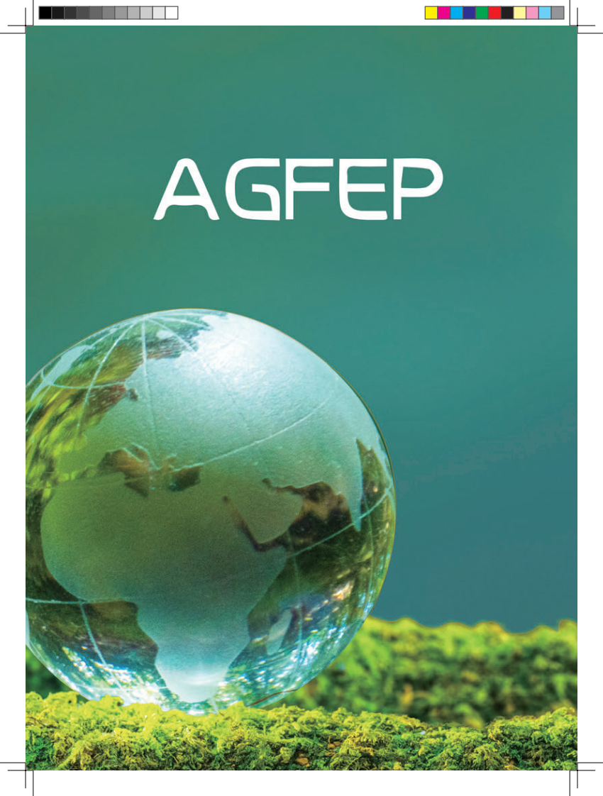 2025中国与全球食物政策报告 第3页