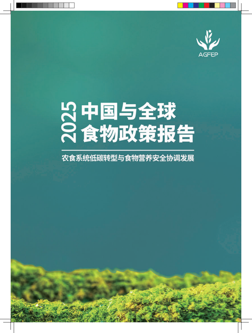 2025中国与全球食物政策报告 第4页