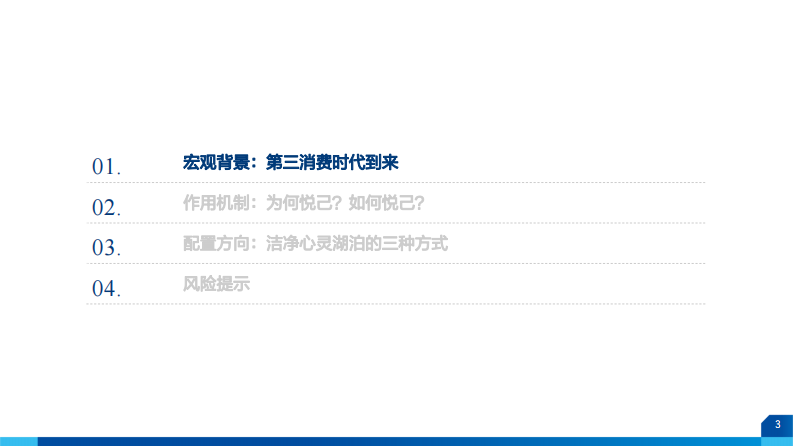 悦己消费大时代-财通证券 第3页