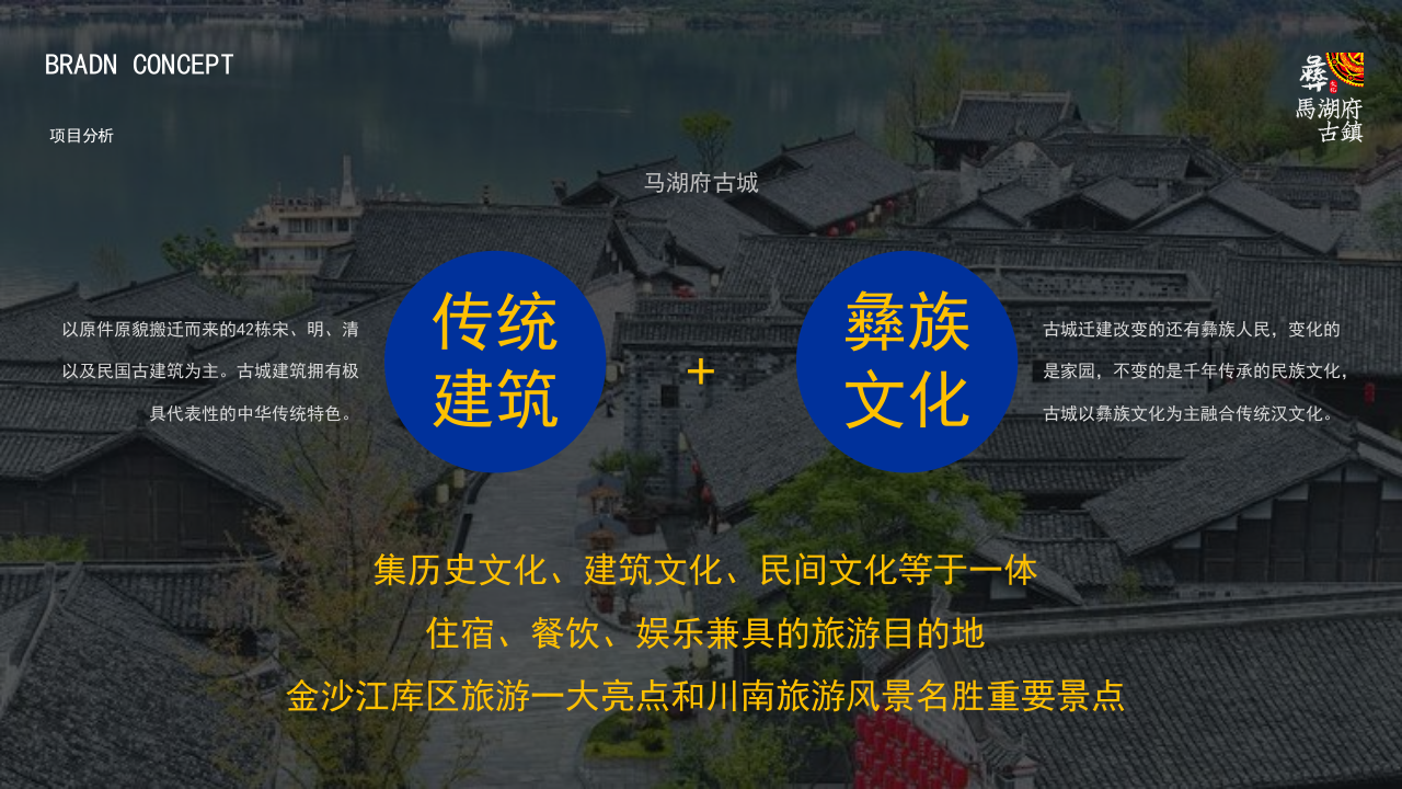 南方古城彝族文化节IP打造策划概念方案【旅游】【少数民族文化节】【文旅IP打造】 第5页