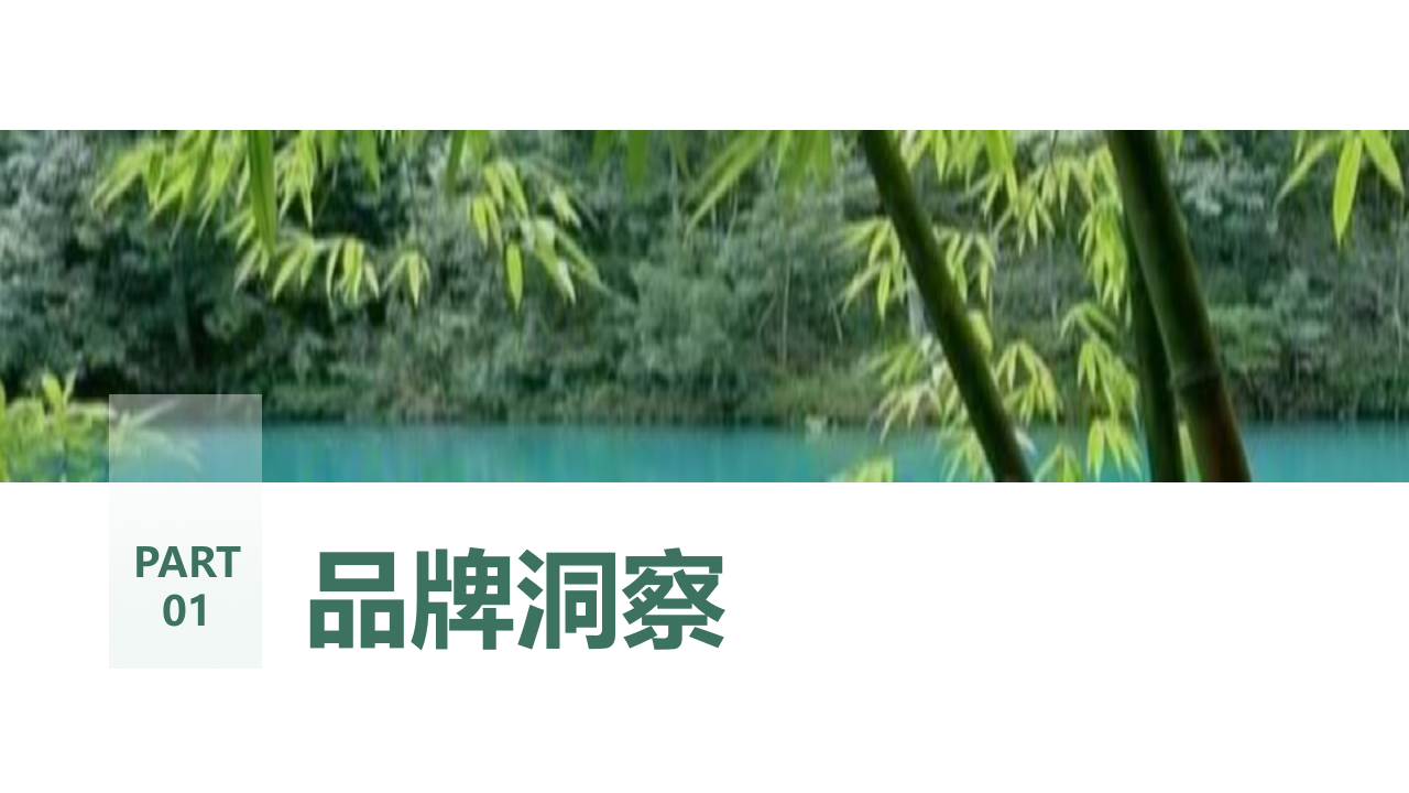 文旅5A级景区抖音运营方案【旅游景区抖音运营】【文旅抖音号运营】 第3页