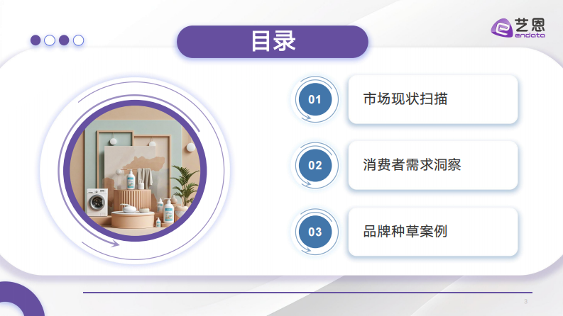 2025年衣物洗护市场消费趋势报告 第3页