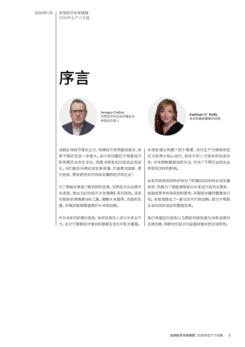 2030年生产力发展白皮书 第3页