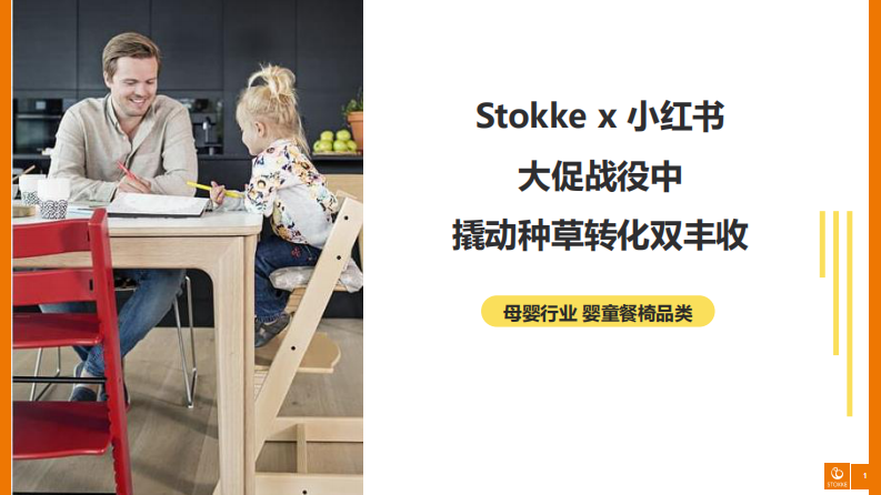 Stokkex小红书：大促战役中撬动种草转化双丰收 第1页