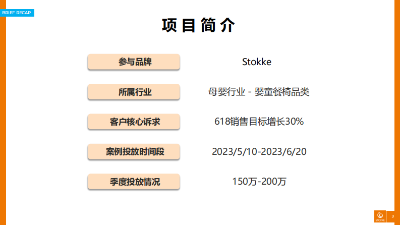 Stokkex小红书：大促战役中撬动种草转化双丰收 第3页