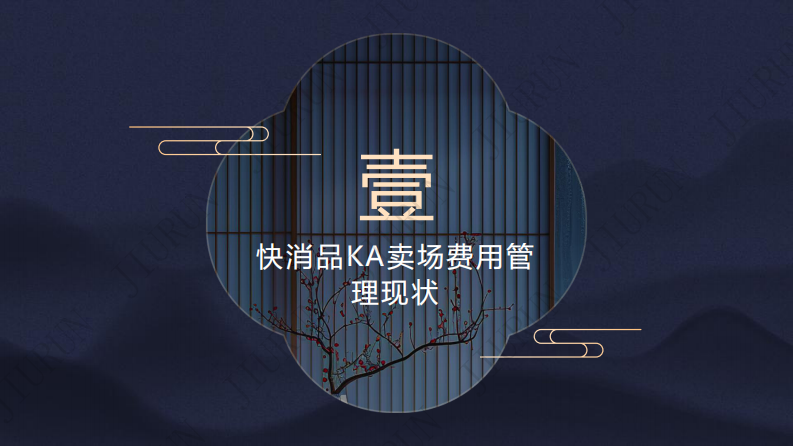 快消品KA卖场费用优化模型报告 第4页