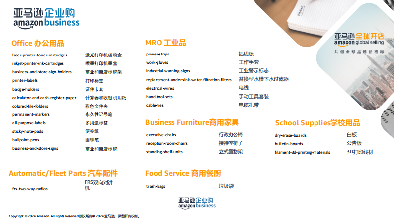 企业购潜力品类解析 &ndash;2025年潜力选品推荐-北美站 第2页