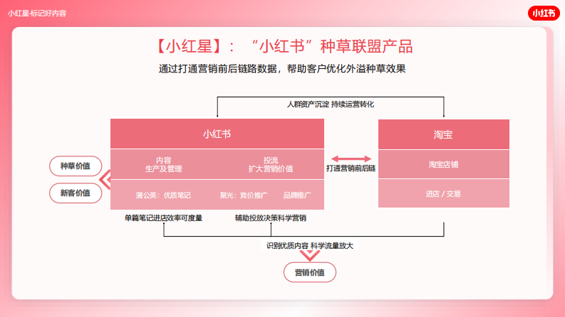 小红书「红猫计划」小红星产品手册【互联网】【通案】 第4页