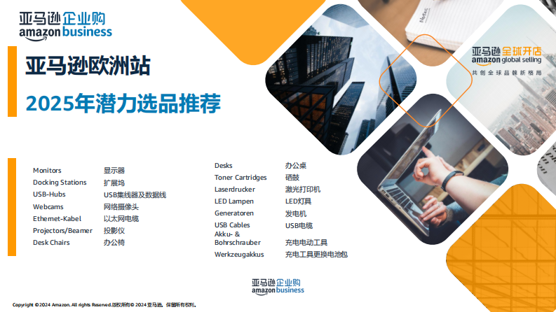 企业购潜力品类解析 -2025年潜力选品推荐-欧洲站 第2页