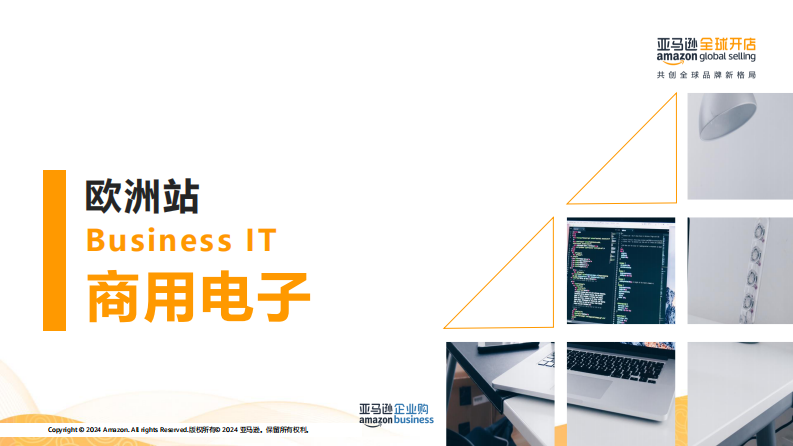企业购潜力品类解析 -2025年潜力选品推荐-欧洲站 第3页