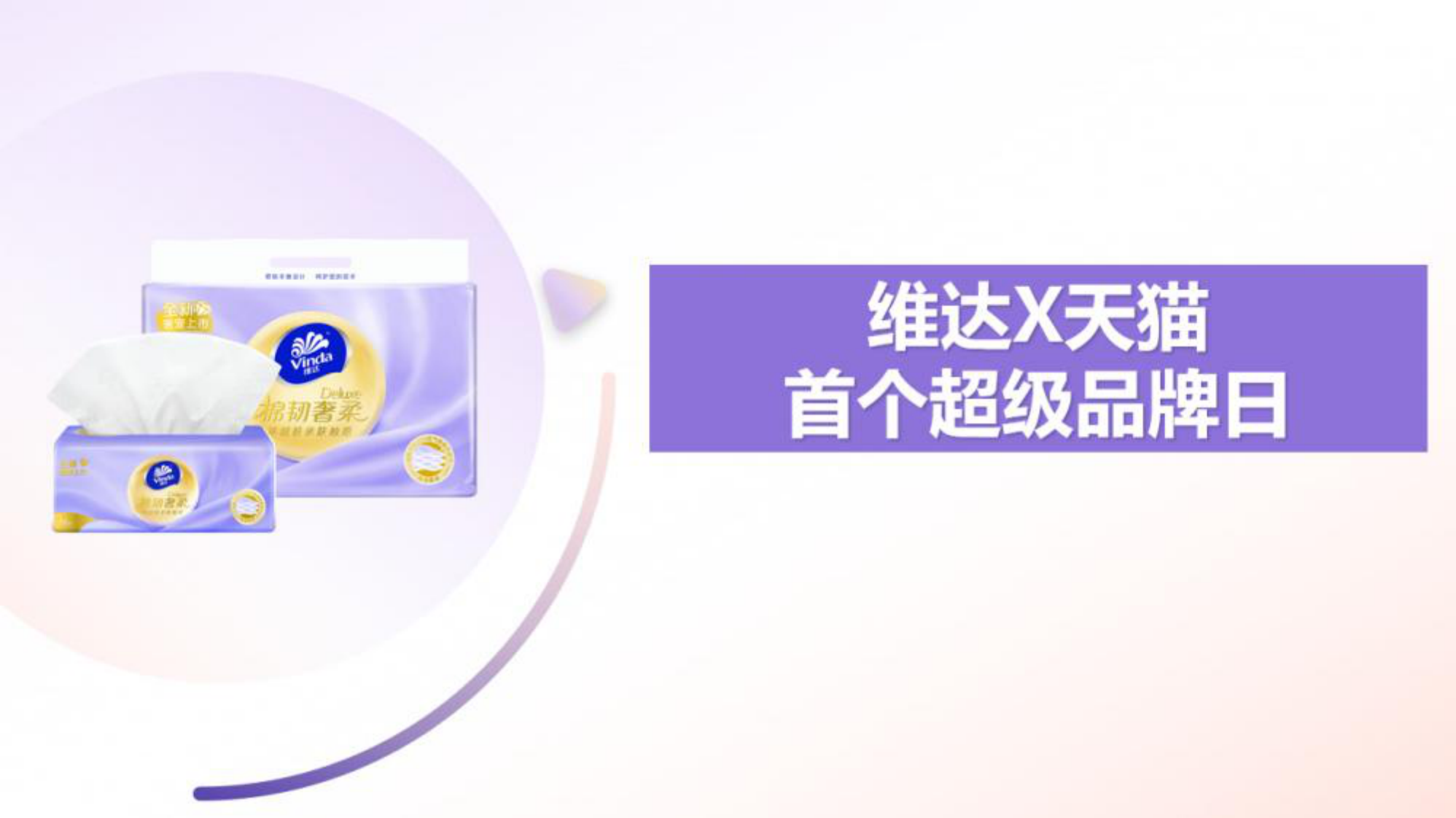 抽纸品牌新品上市项目总结【纸品】【生活用纸】【传播结案】【种草营销】 第5页