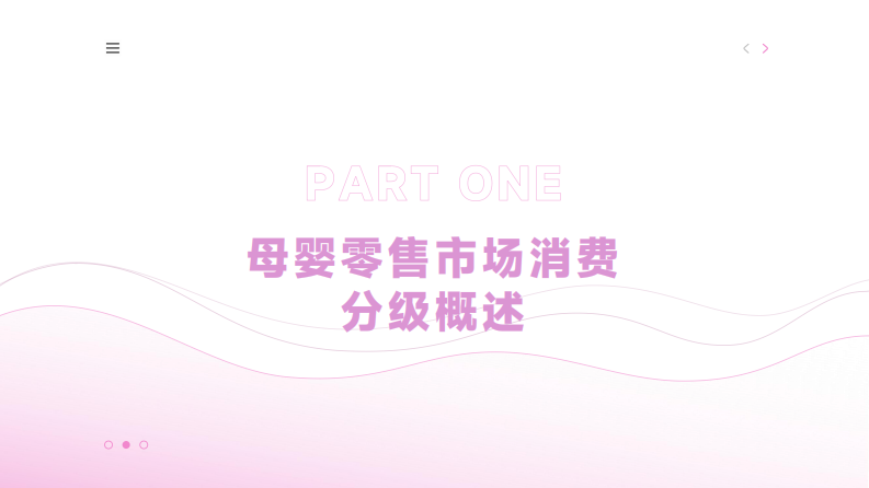 母婴零售消费分级-高端产品与平价用品的渠道分流研究 第3页