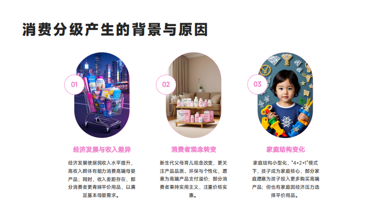 母婴零售消费分级-高端产品与平价用品的渠道分流研究 第5页