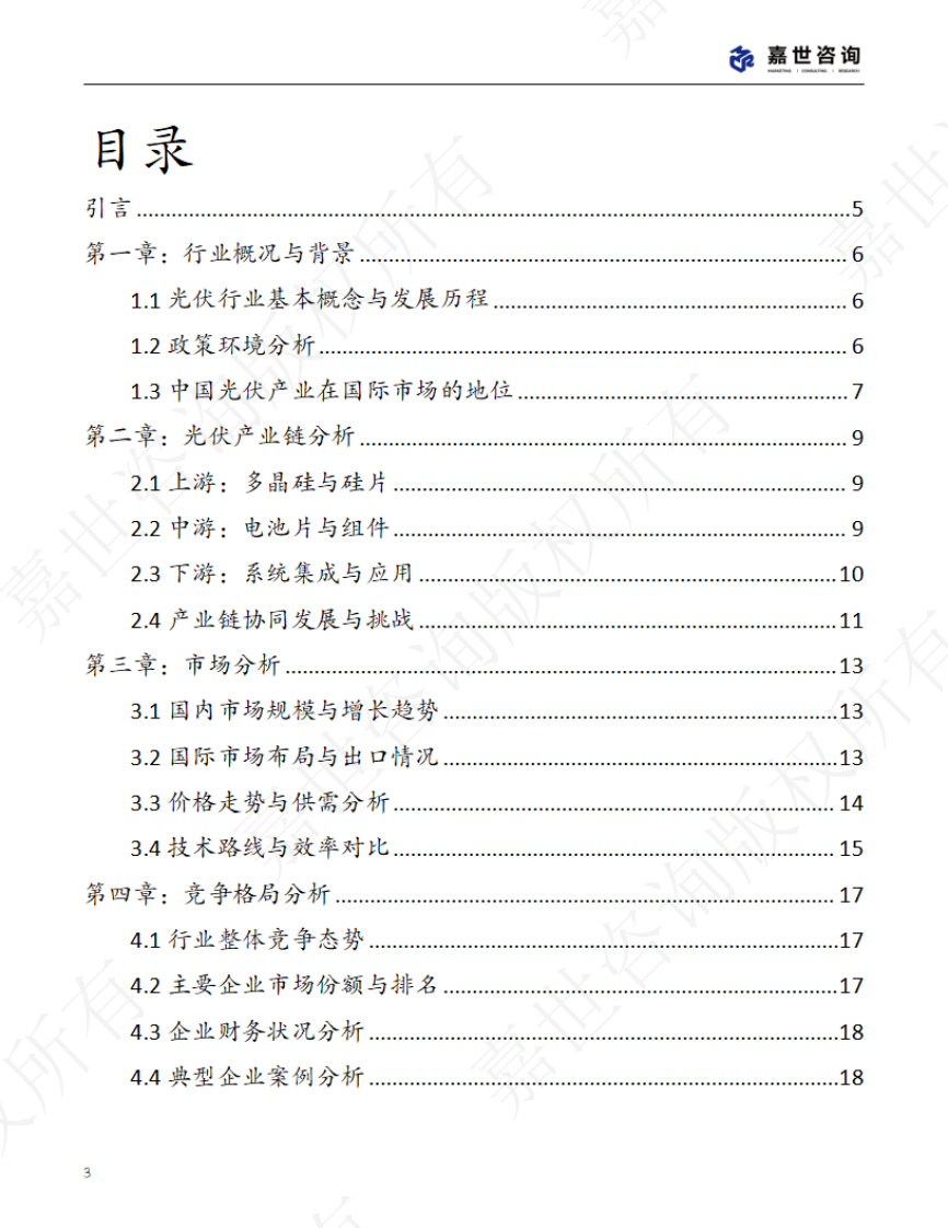 2025中国新能源光伏行业现状报告 第3页