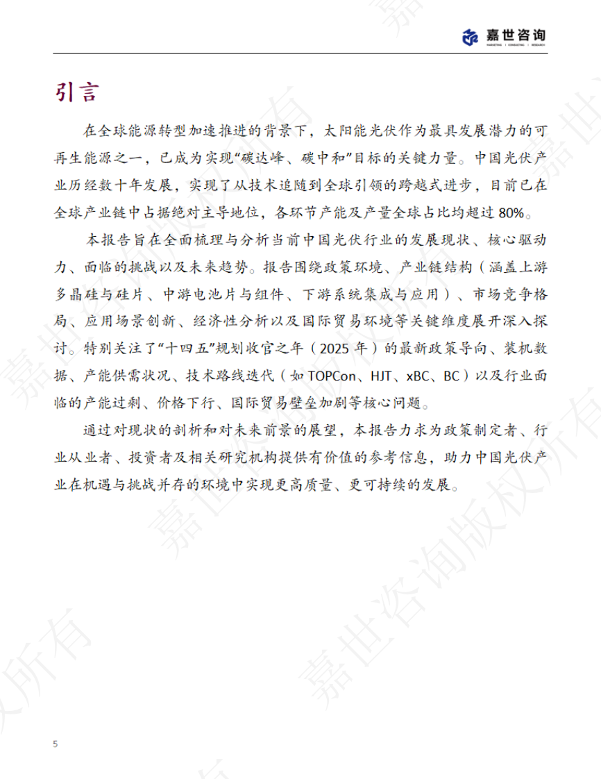 2025中国新能源光伏行业现状报告 第5页