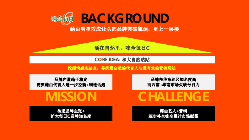 饮料品牌代言人王鹤棣整合营销项目【食品饮料】【代言人营销】【代言人传播】 第5页