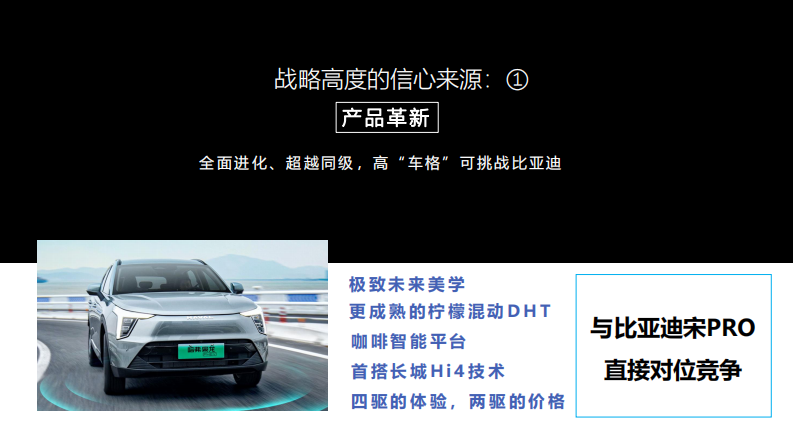 国产汽车品牌区域营销年度推广策划方案【汽车】【区域推广】【年度全案】 第3页