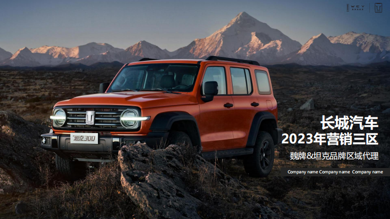 国产新能源汽车品牌区域年度营销方案【汽车】【SUV】【年度全案】 第1页